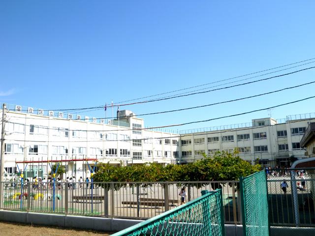 Primary school. 550m until the flower garden first elementary school