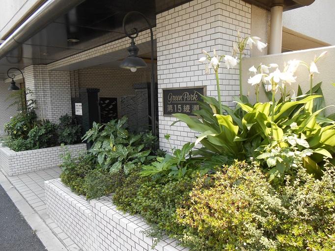 Entrance. Local (July 2013) Shooting