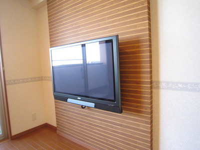 Other Equipment. 42 inches plasma TV with. HDD recording function equipped