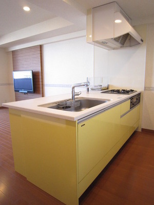 Kitchen. Open-minded party kitchen specification (with disposer)