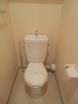 Toilet. WC shelf