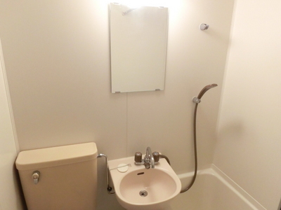 Washroom. Washbasin with mirror