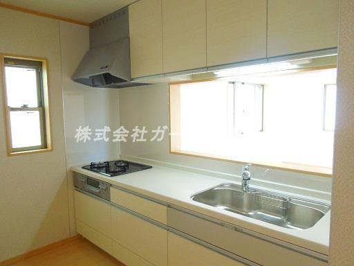 Kitchen. Popular face-to-face kitchen