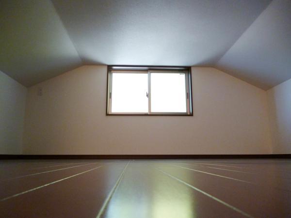 Non-living room. Small attic storage