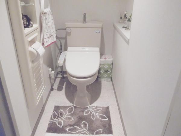 Toilet. With Washlet!