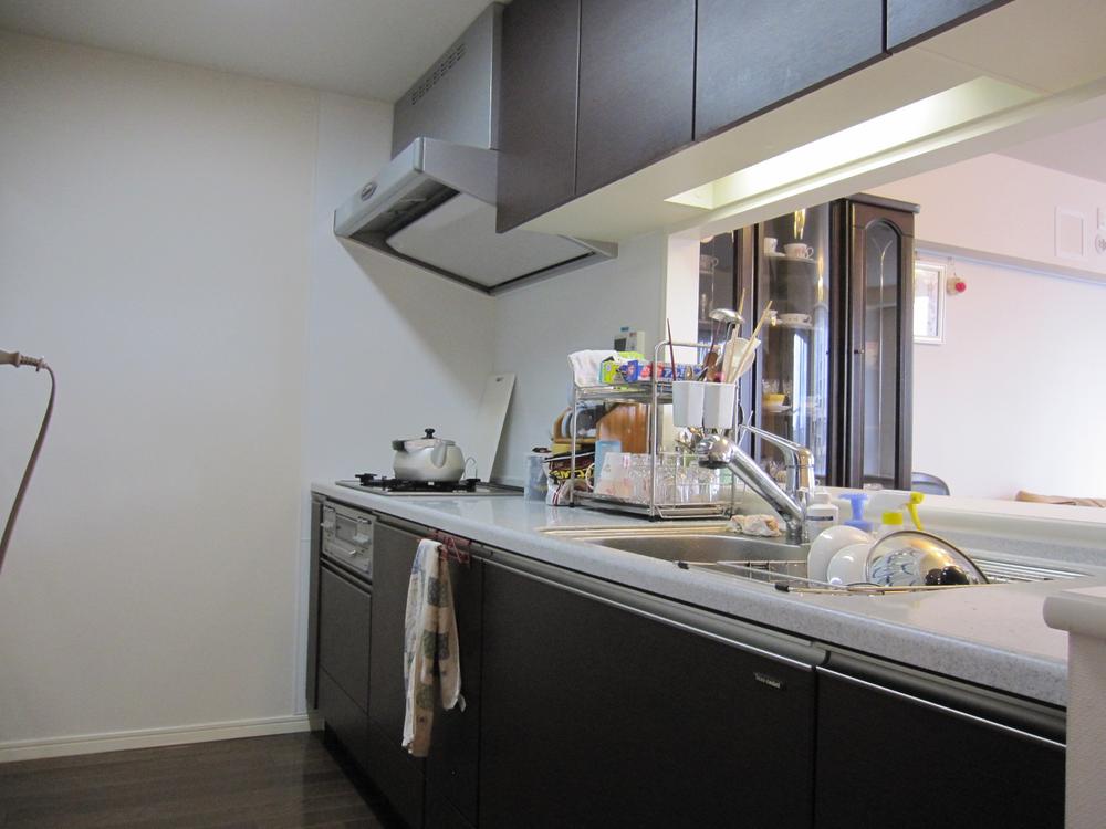 Kitchen. Indoor (11 May 2013) Shooting