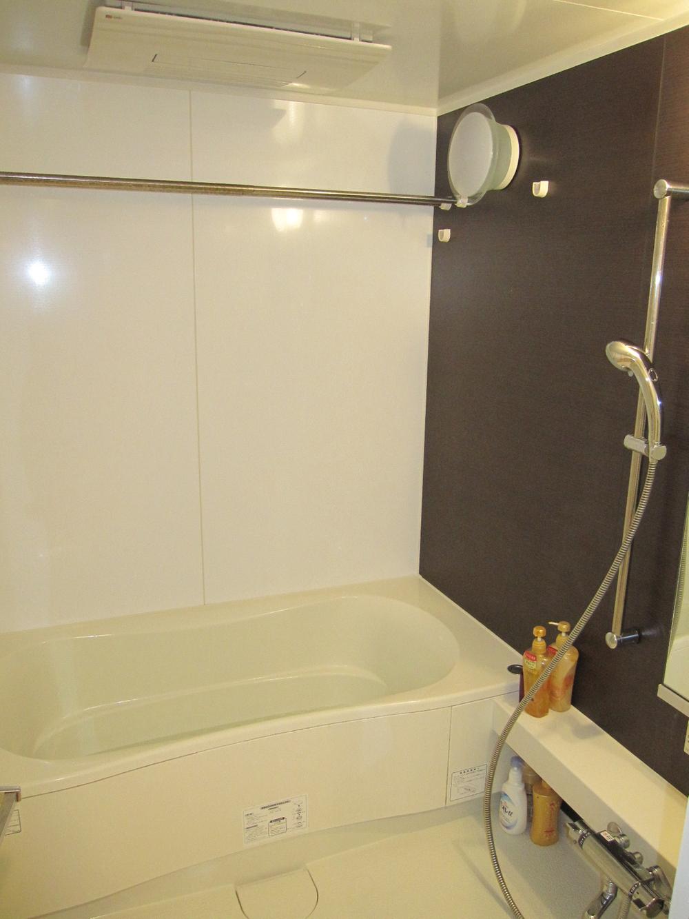 Bathroom. Indoor (11 May 2013) Shooting