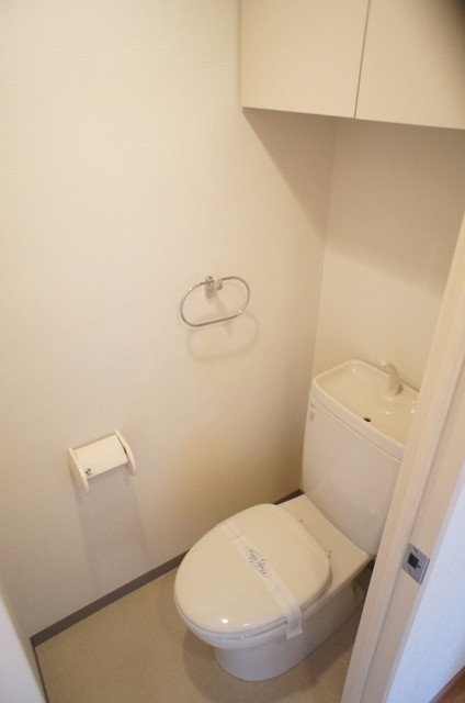 Toilet. It is a toilet with storage shelf at the top