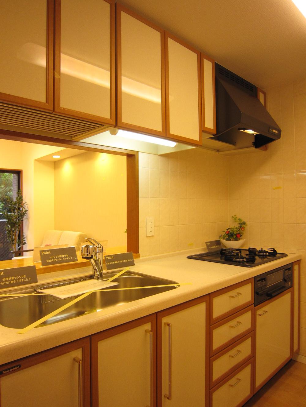 Kitchen. Indoor (11 May 2013) Shooting