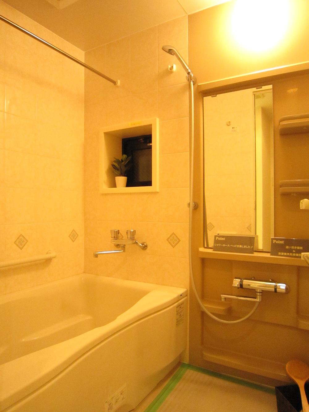 Bathroom. Indoor (11 May 2013) Shooting