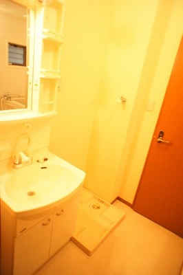 Washroom. Wash basin with shampoo dresser in the dressing room, Laundry Area Available