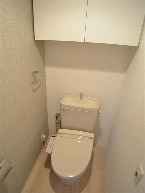 Toilet. Show also has neat storage