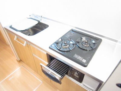 Kitchen. Two-burner grill with a system Kitchen