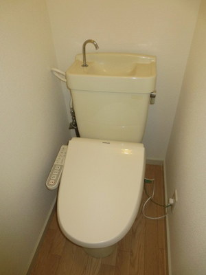 Toilet. Bidet