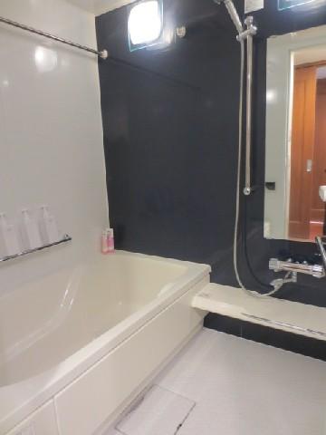 Bathroom. Indoor (12 May 2013) Shooting