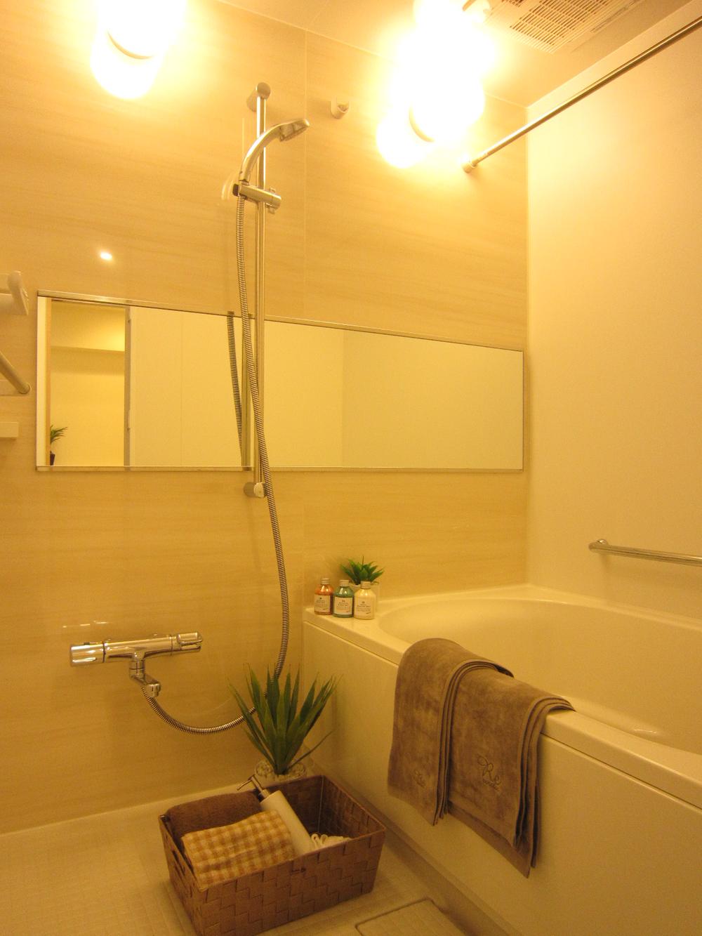 Bathroom. Indoor (11 May 2013) Shooting