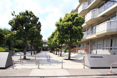 Junior high school. 307m to Adachi Ward Iriya Minami Junior High School