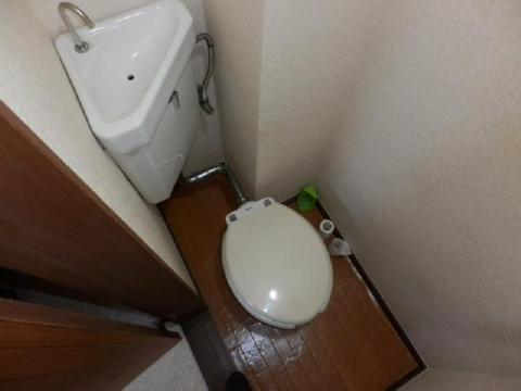 Toilet. Flush toilet