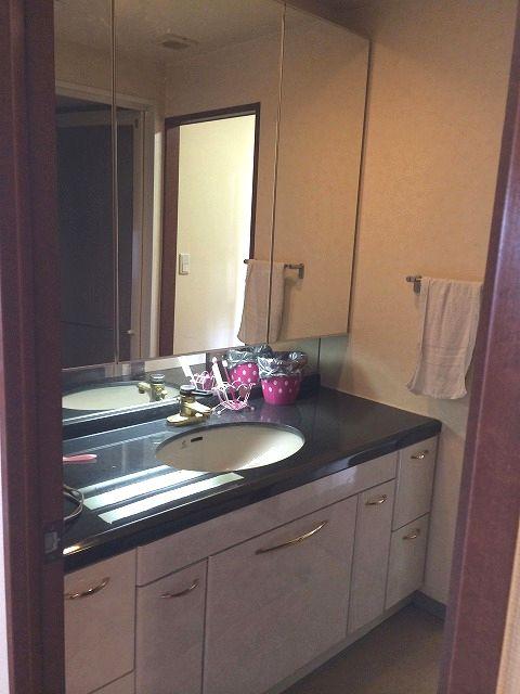 Wash basin, toilet. Bathroom vanity