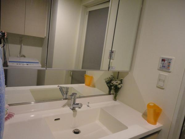 Wash basin, toilet. Wash / December 2013 shooting