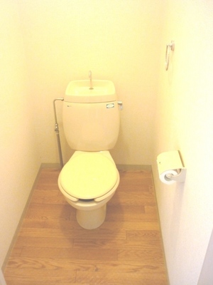 Toilet. It is a photograph of a separate room of the same properties. 