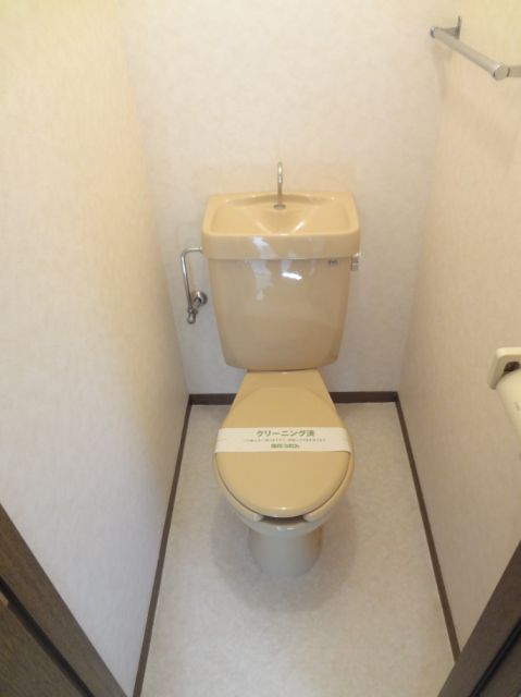 Toilet. It is another popular bus toilet