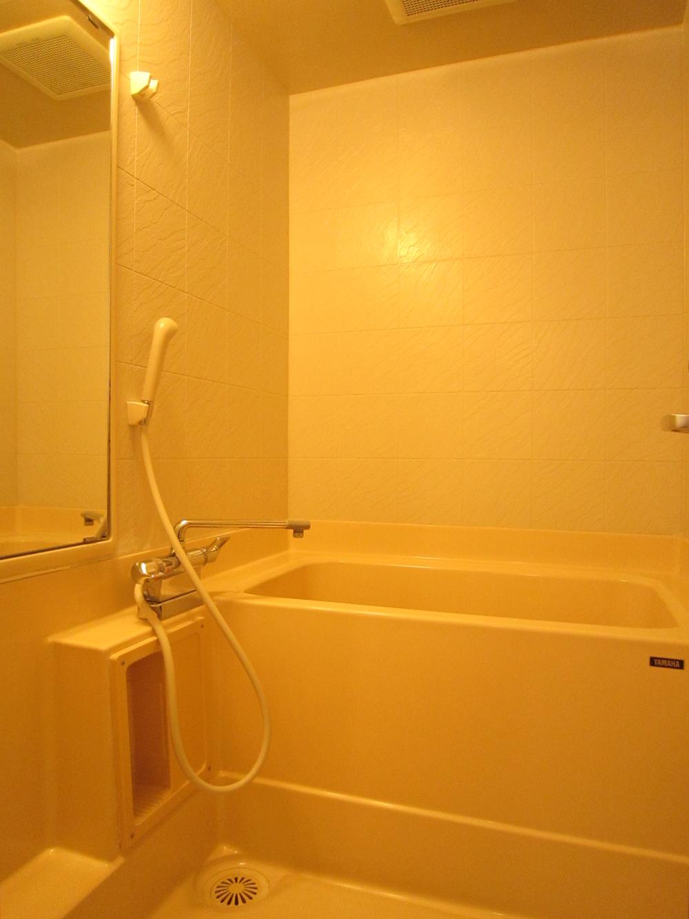 Bathroom. Indoor (11 May 2013) Shooting