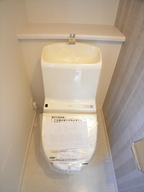 Toilet. Counter with toilet