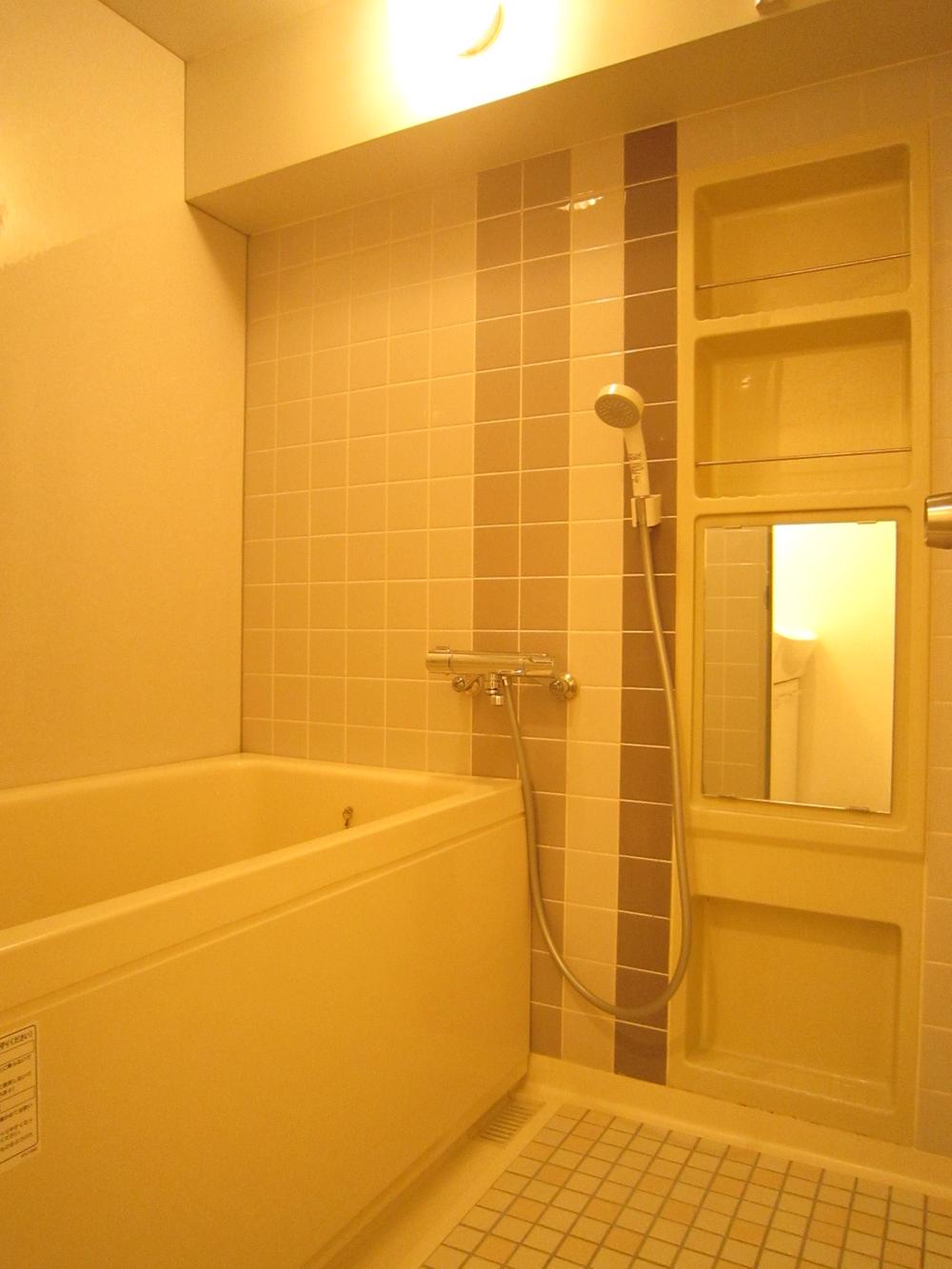 Bathroom. Indoor (12 May 2013) Shooting