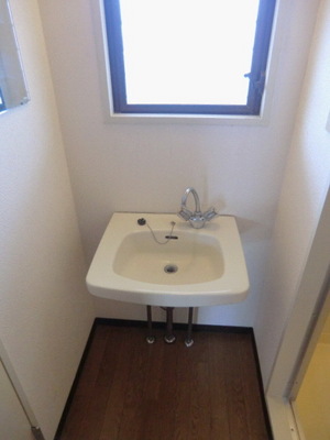 Washroom. There washbasin