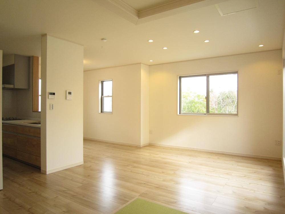 Living. Indoor (12 May 2013) Shooting