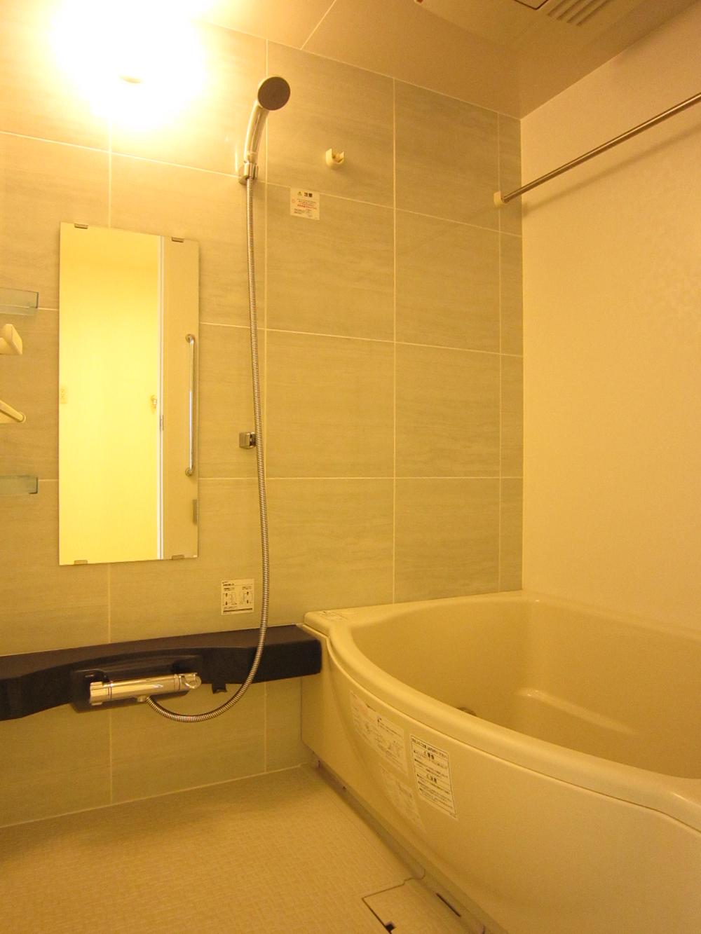 Bathroom. Indoor (10 May 2013) Shooting