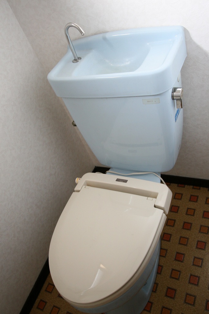 Toilet. Western-style toilet (with outlet)