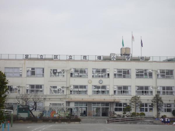 Primary school. 400m until the flower garden elementary school