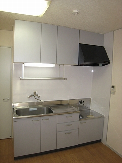 Kitchen. Convenient mixing faucet. We exchange a few years ago.