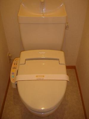 Toilet. Toilet