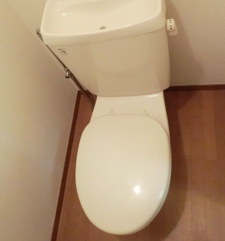 Toilet. The same type