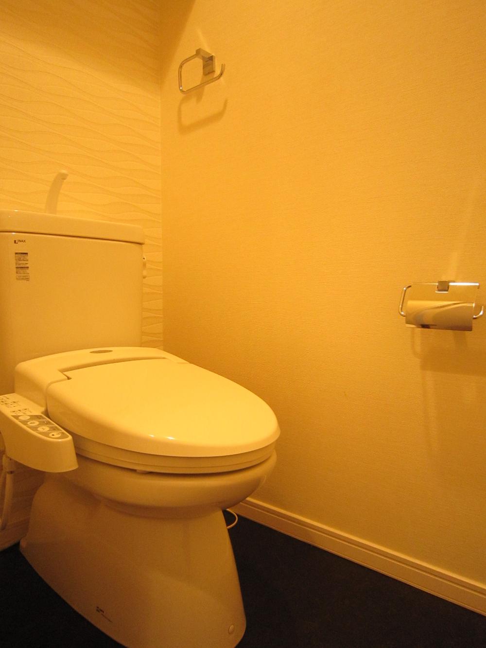 Toilet. Indoor (March 2013) Shooting