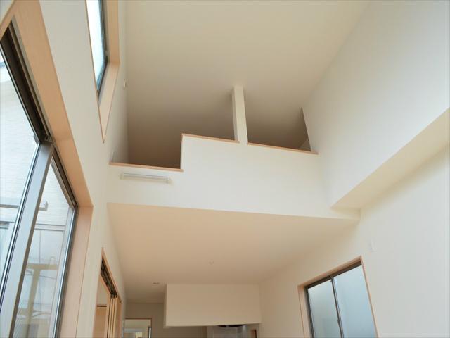 Other introspection. Loft with