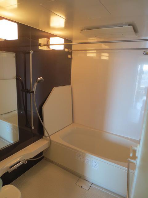 Bathroom. Indoor (12 May 2013) Shooting