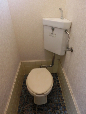 Toilet. Western-style toilet