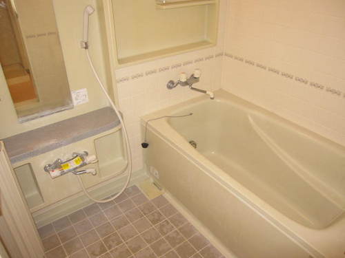 Bath. Bathroom with a bathroom ventilation dryer! (Interior ago)