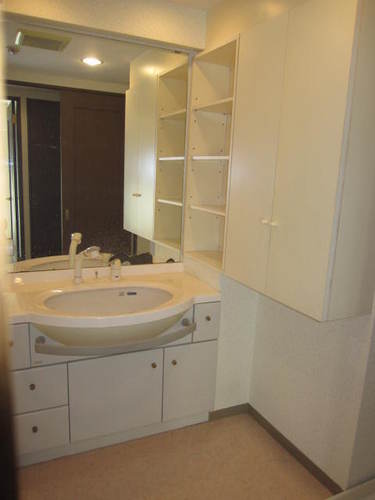 Washroom. Washbasin convenient shampoo dresser (interior ago)