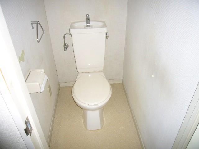 Toilet. Toilet