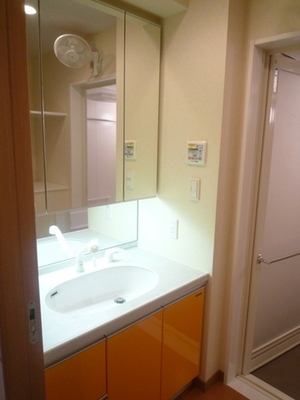 Washroom. Vanity (with three-sided mirror storage)