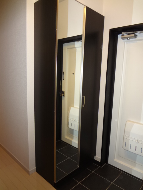 Entrance. Full-length mirror with shoe box