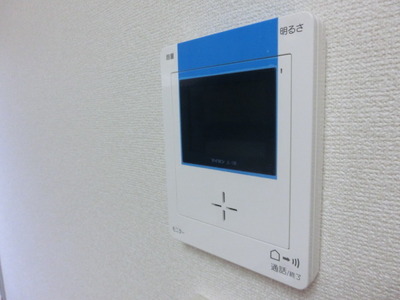 Security. Peace of mind of the TV monitor with intercom