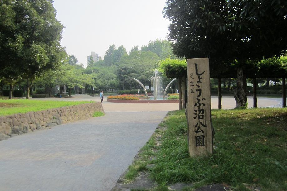 park. Iris marsh park