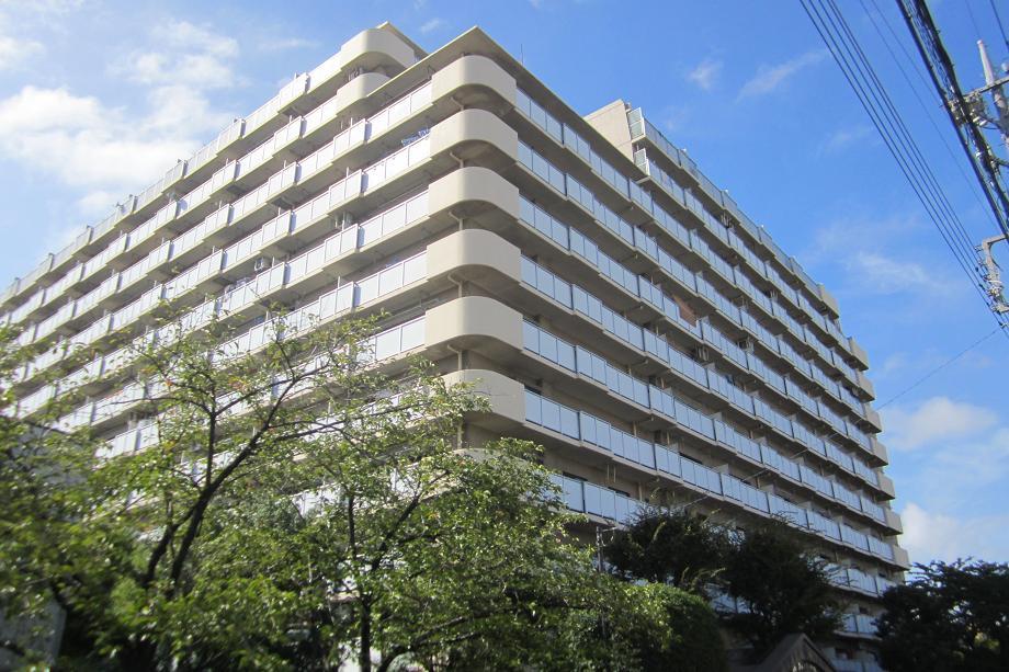 Local appearance photo. Local (August 2013) Shooting