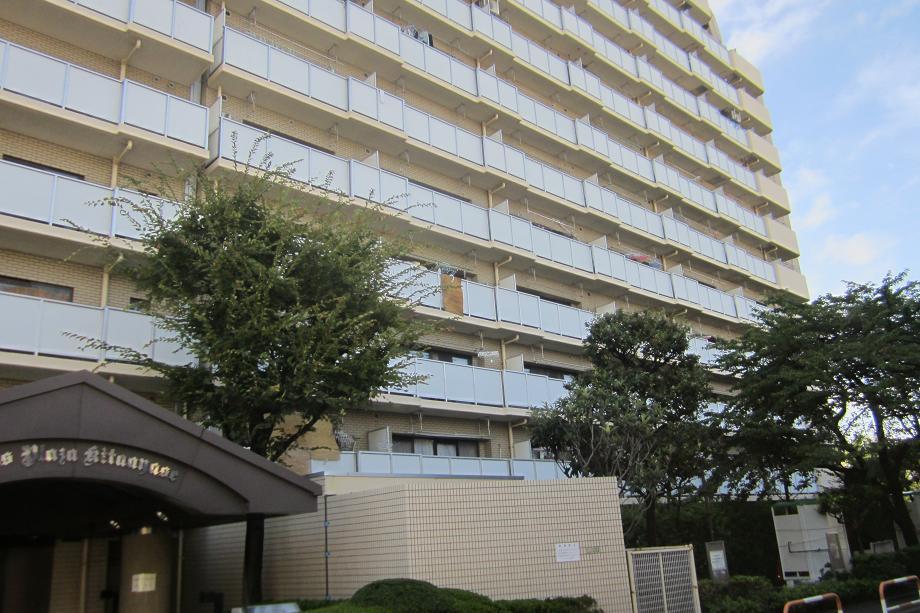 Local appearance photo. Local (August 2013) Shooting